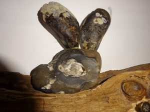 Osterhasen-Assemblage aus Holz, Stein, Miesmuscheln