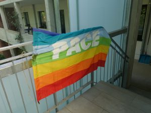 "PACE"_Friedensfahne im Treppenturm