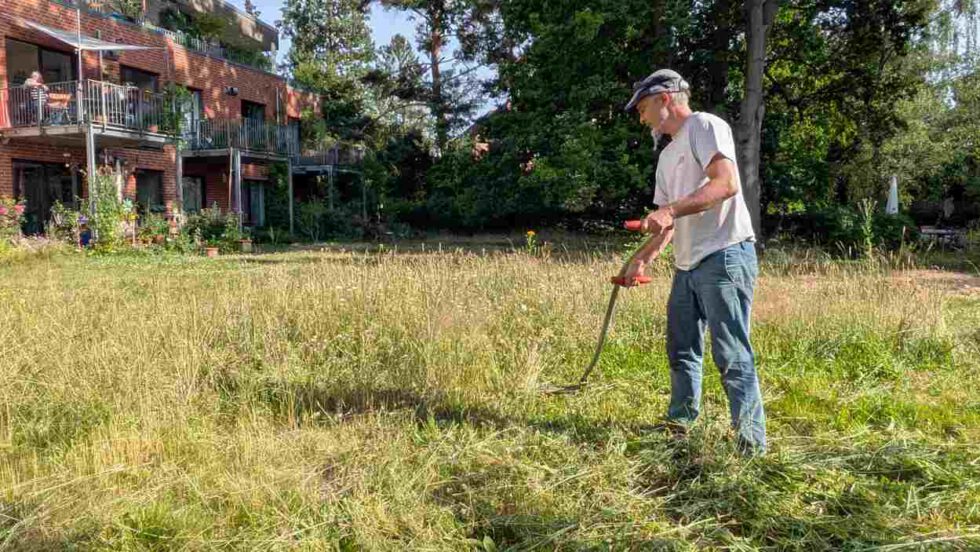 Ein LeNa-Bewohner mäht das hohe Gras mit der Sense