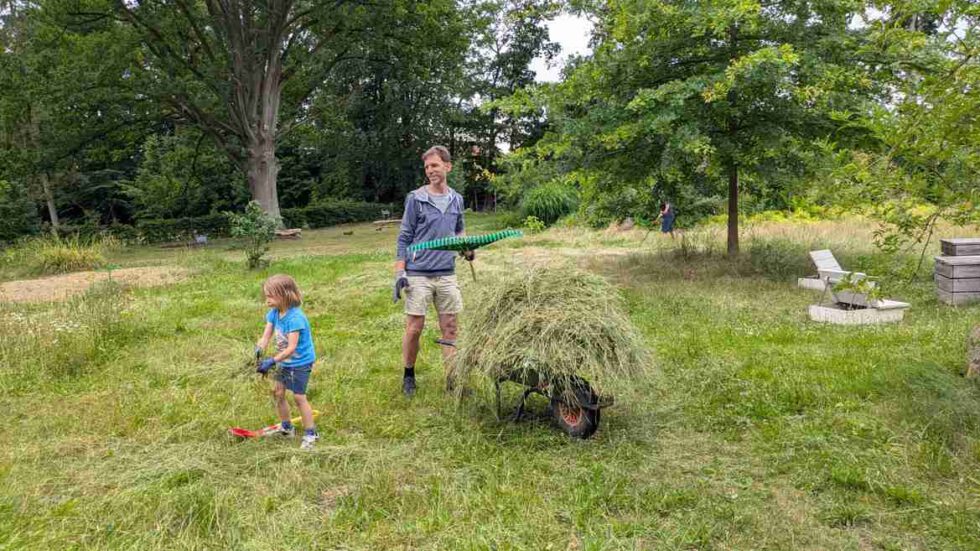 Vater und Sohn harken das Heu zusammen und transportieren es mit der Schubkarre weg