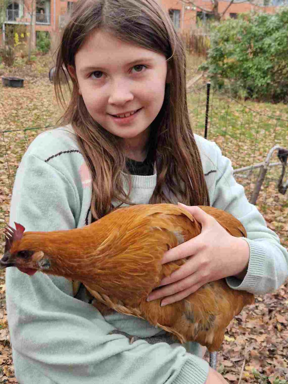 Junges Mädchen bei LeNa hält Huhn in den Armen
