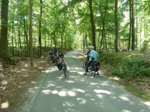 LeNa-Radelgruppe im sonnigen Laubwald